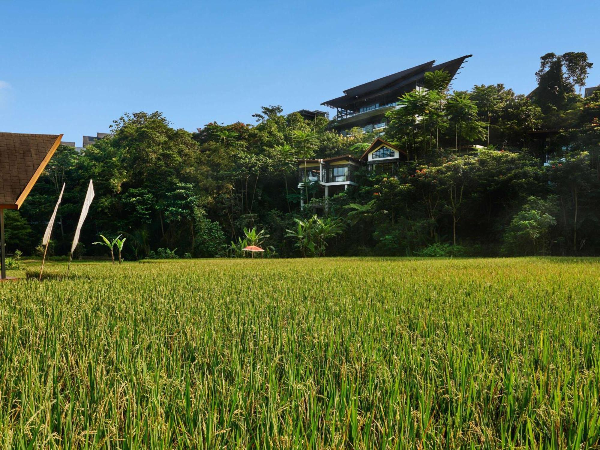 Pullman Ciawi Vimala Hills Hotel Bogor